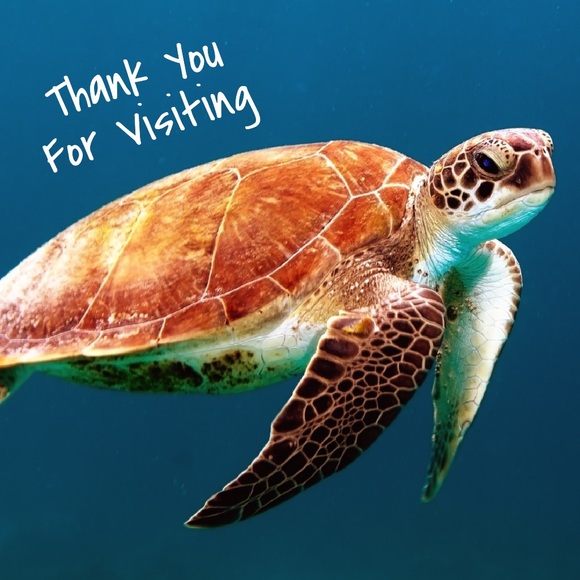 COPY - Ann Taylor Loft Skirt SUIT Dk Navy - 10/12 - Picture 16 of 16